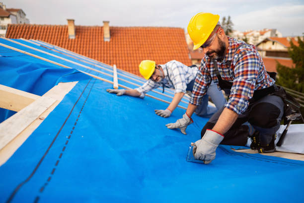 Best Roof Moss and Algae Removal  in Somerton, AZ